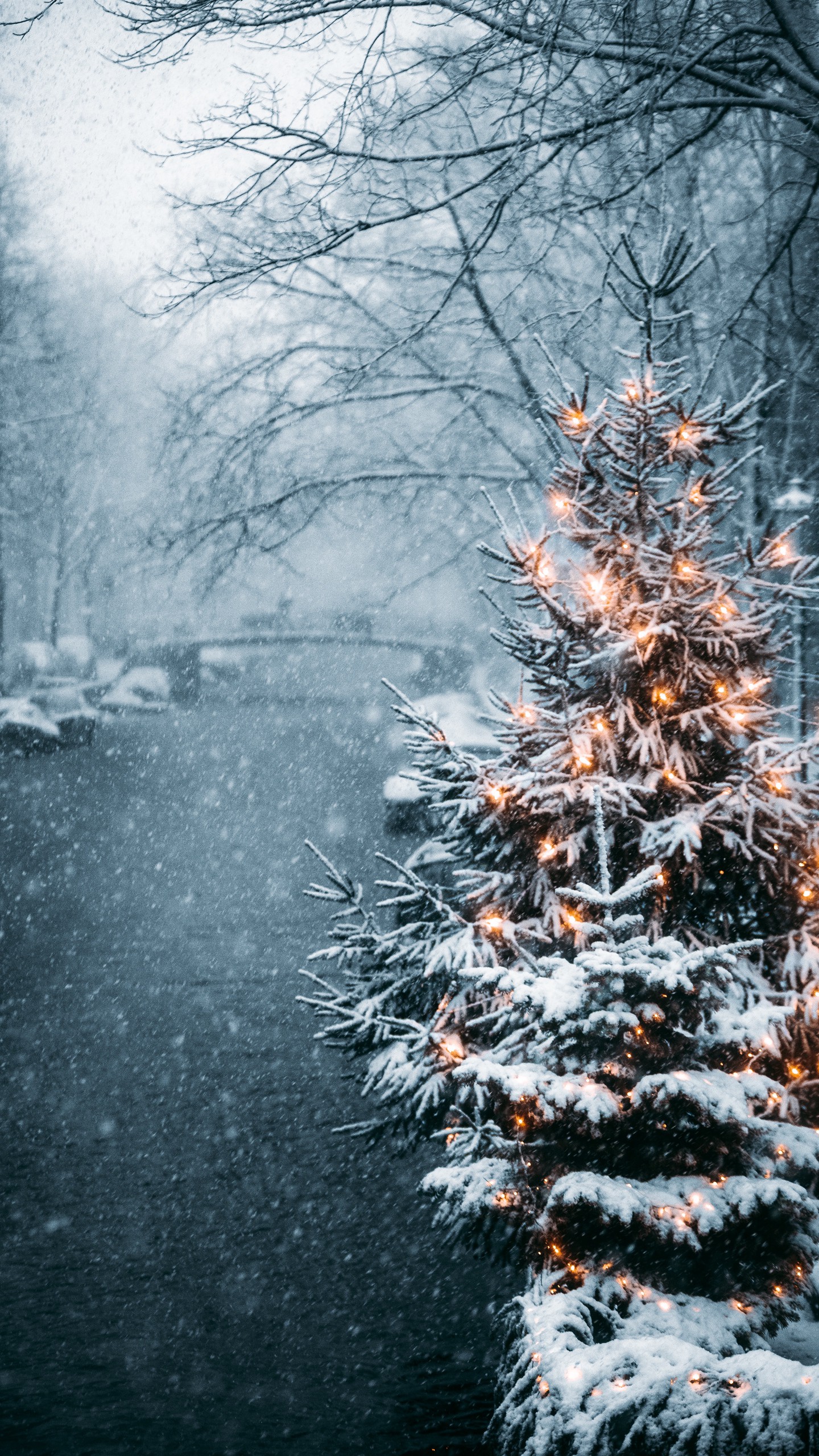 Обои елка, гирлянды, снег, зима, новый год на телефон скачать бесплатно