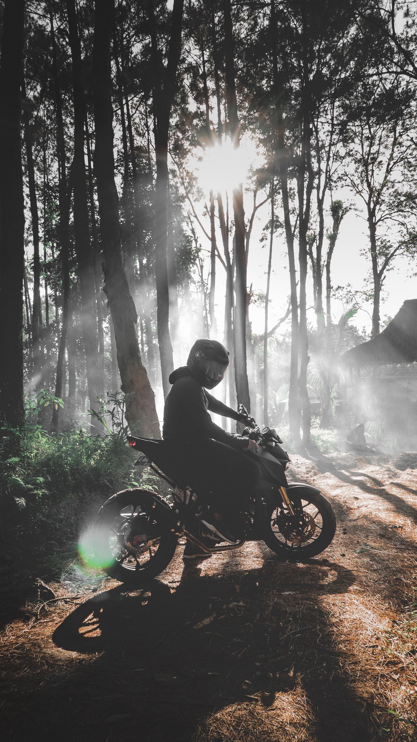 Обои мотоциклист, мотоцикл, байк, лес, туман на телефон скачать бесплатно
