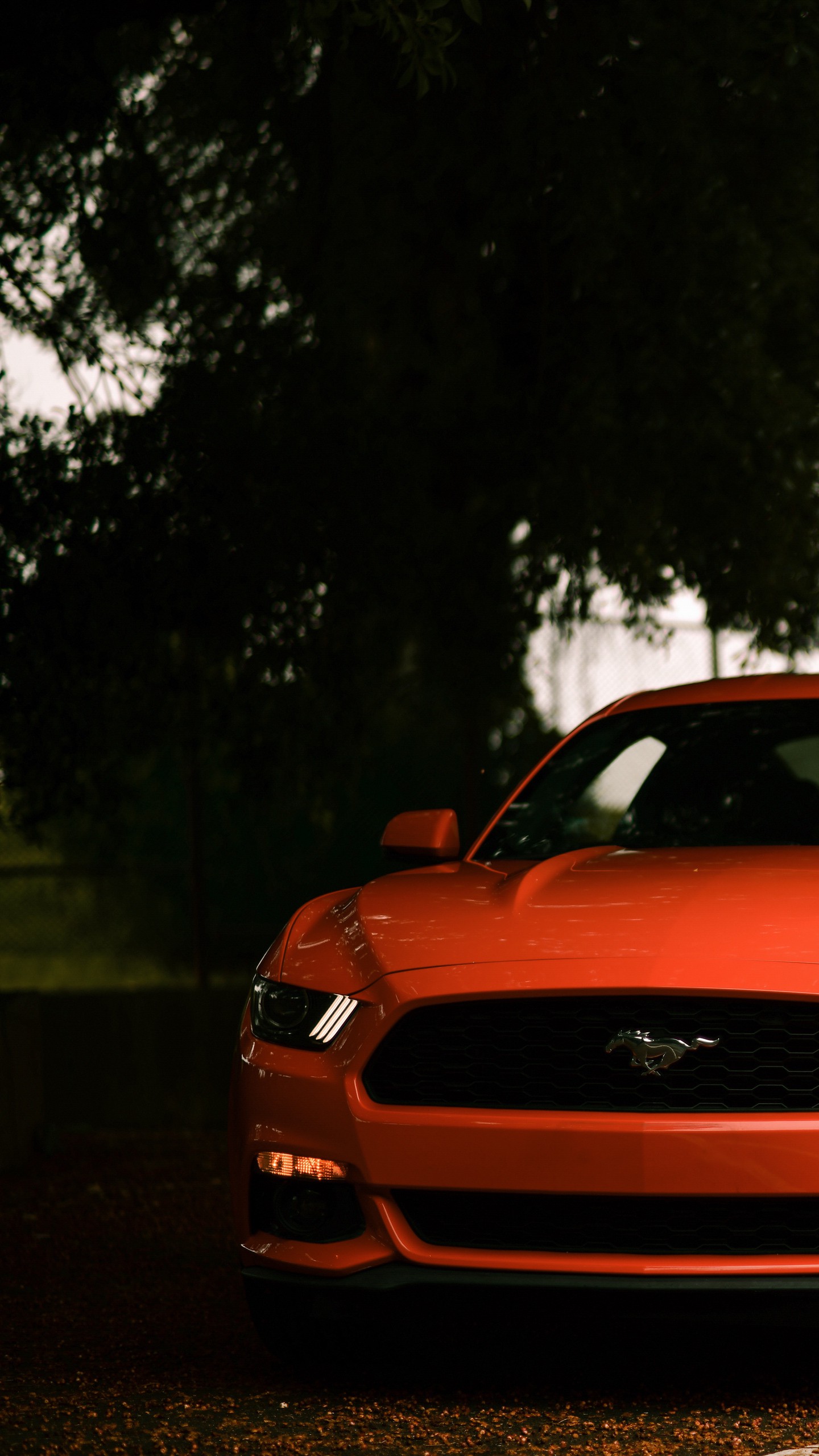 Обои ford mustang, ford, машина, спорткар, красный, вид спереди на телефон скачать бесплатно