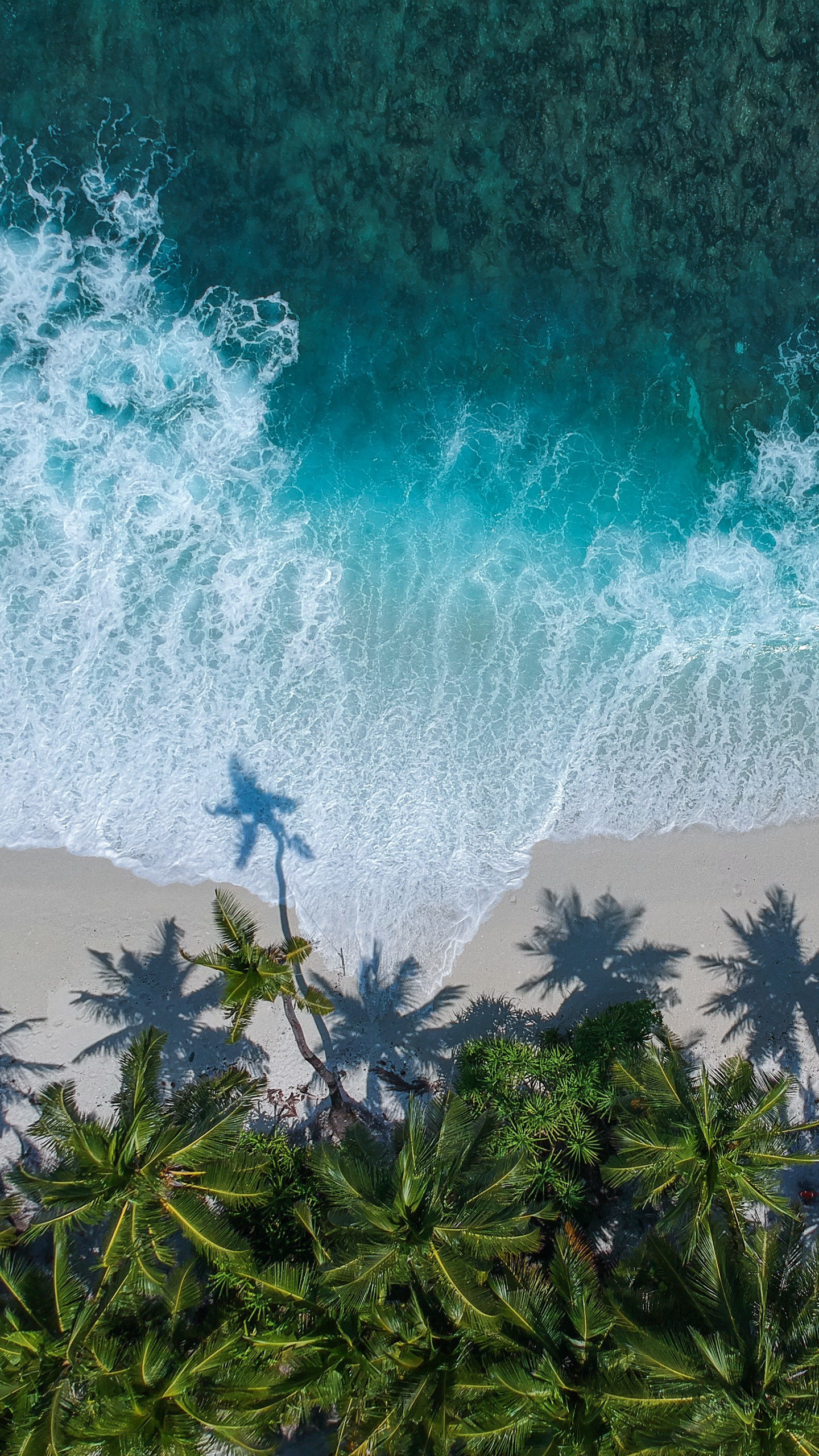 Обои пальмы, океан, вид сверху, прибой, волна, пена на телефон скачать бесплатно