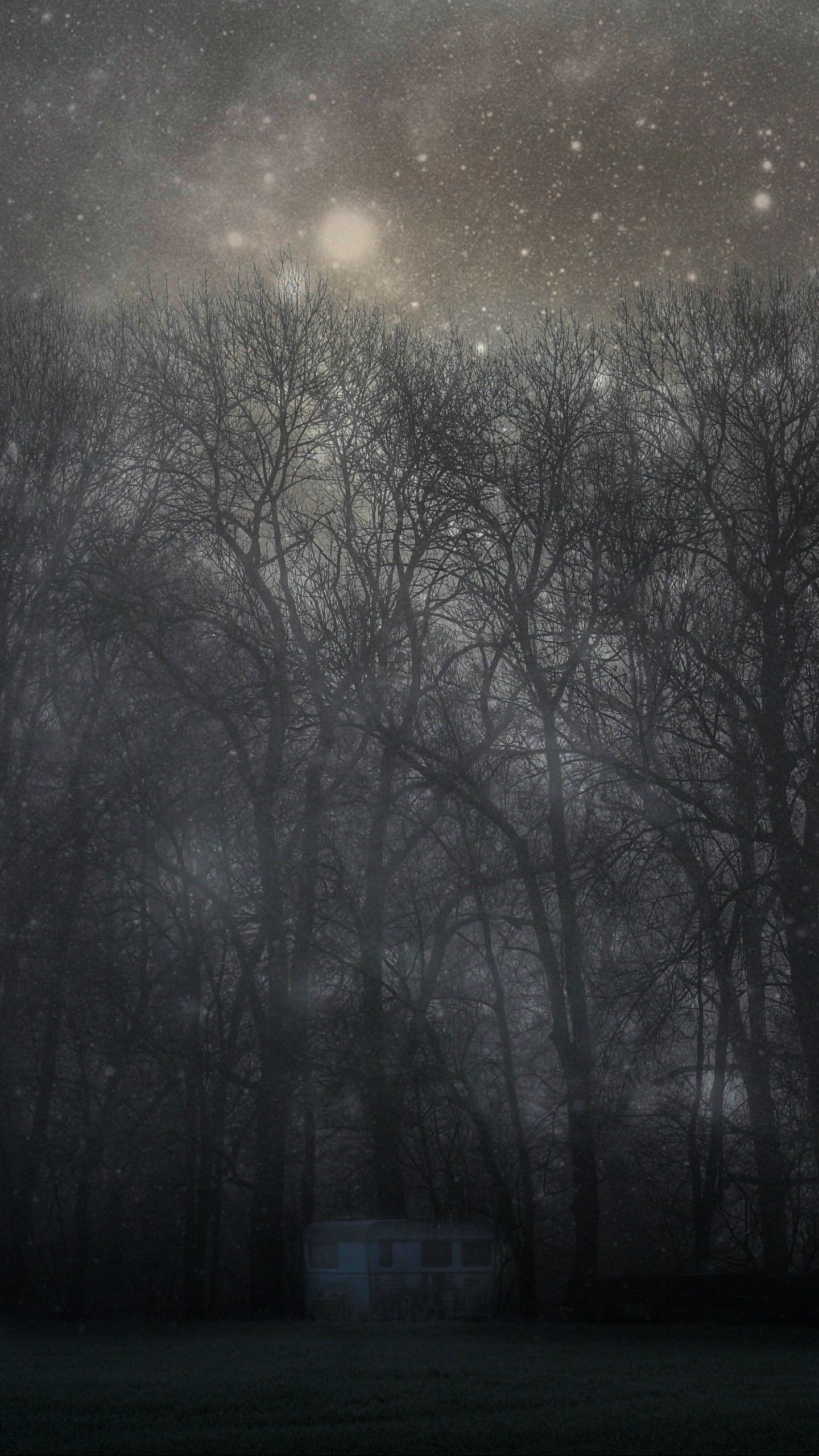 Обои лес, мистический, туман, деревья, ночь, звездное небо на телефон скачать бесплатно