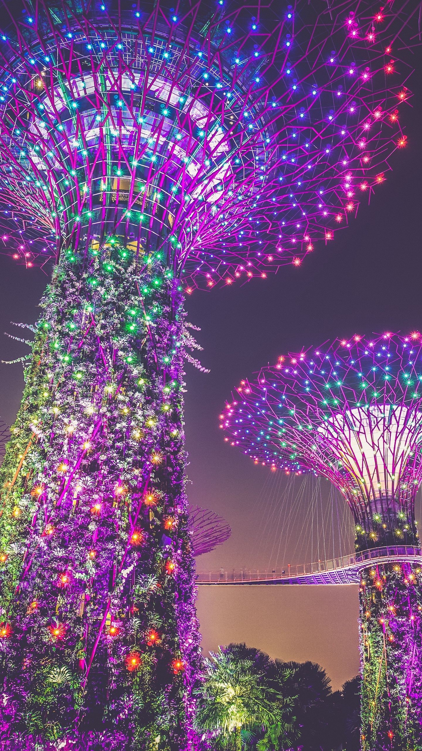 Обои сингапур, искусственные деревья, освещение, украшение, город на телефон скачать бесплатно