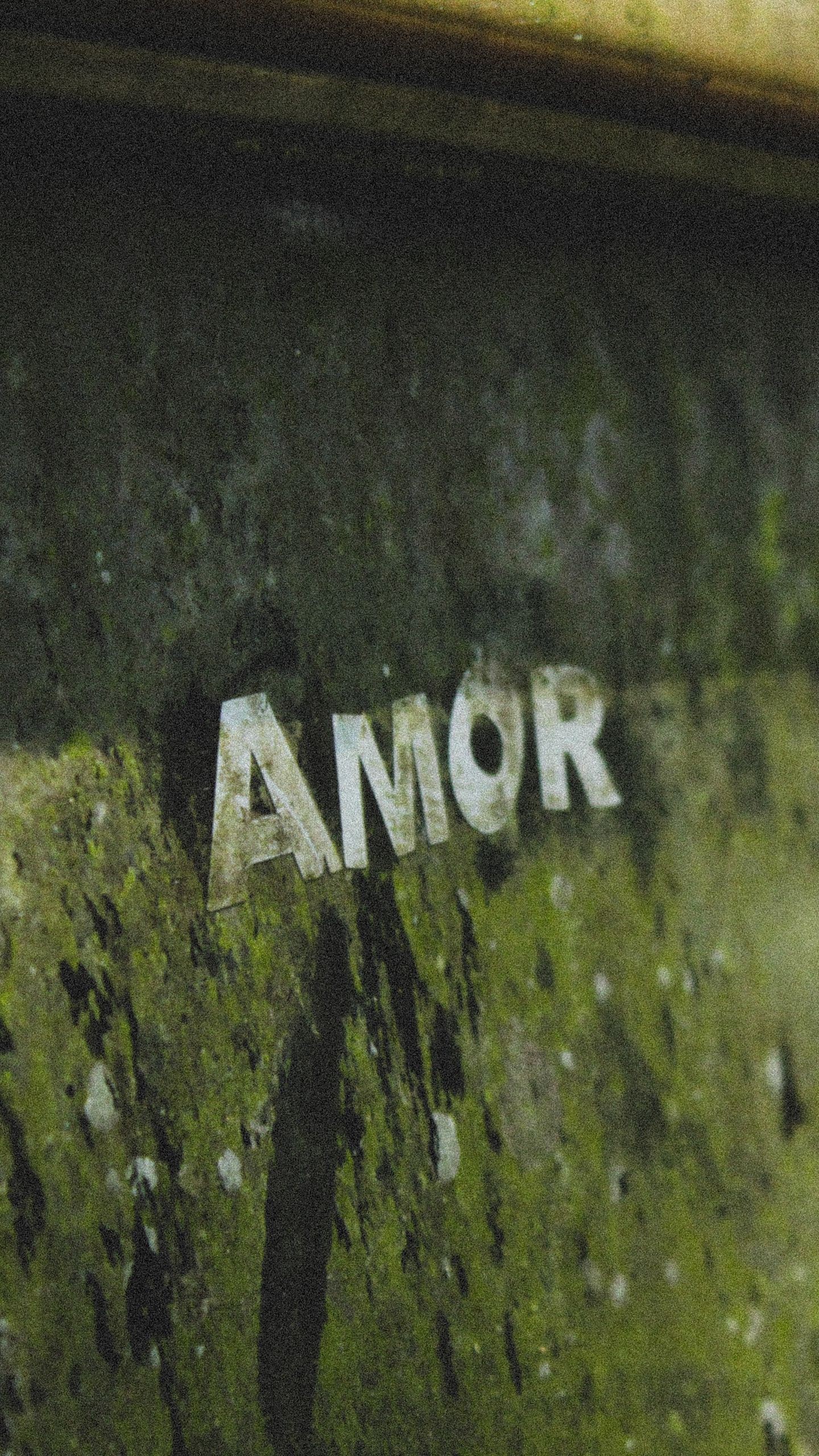 Обои надпись, любовь, amor, буквы на телефон скачать бесплатно