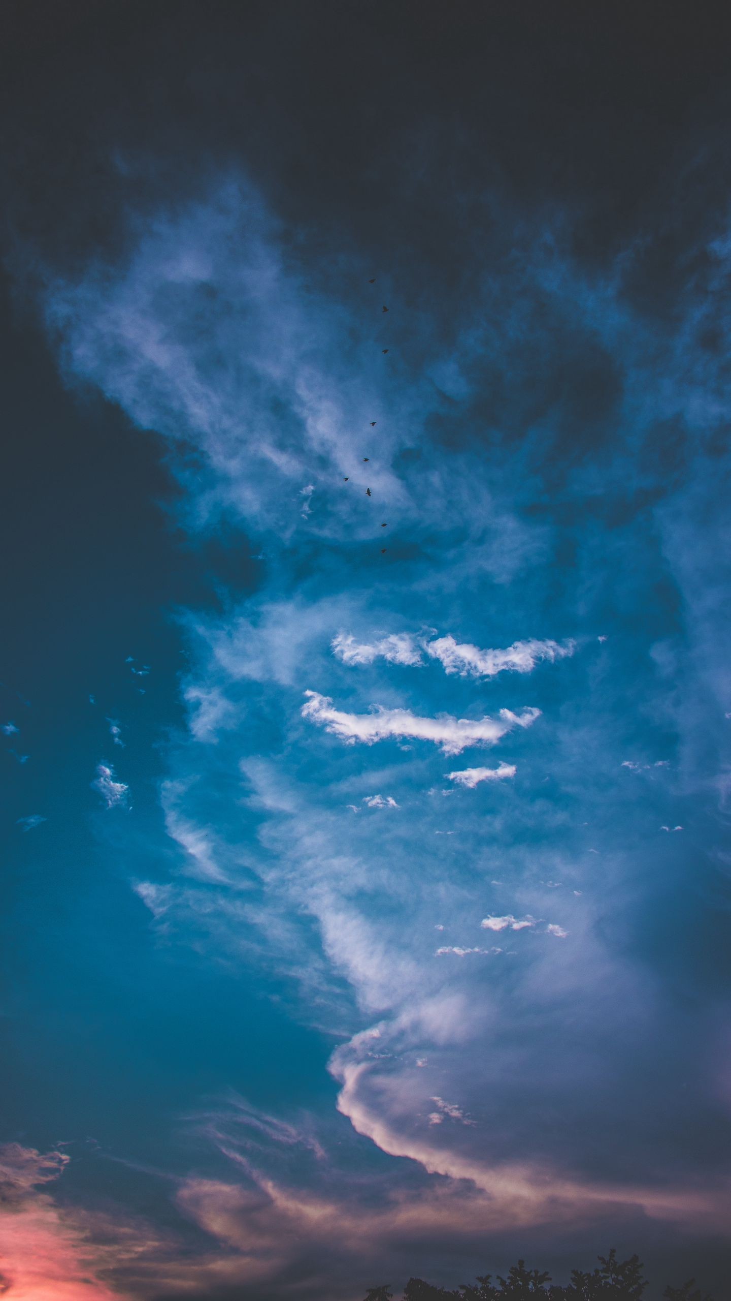 Обои облака, небо, закат, сумерки, птицы, облачно на телефон скачать бесплатно