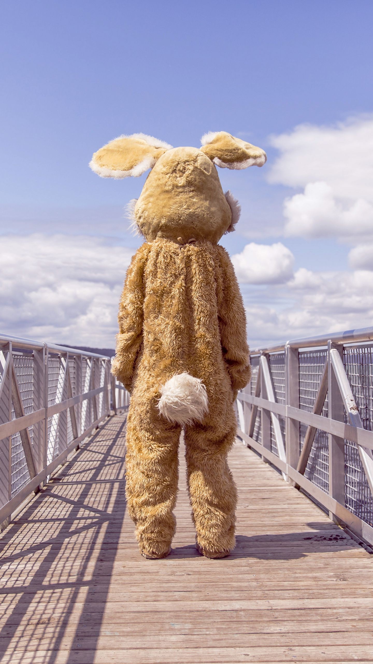 Обои заяц, костюм, мост, одиночество на телефон скачать бесплатно