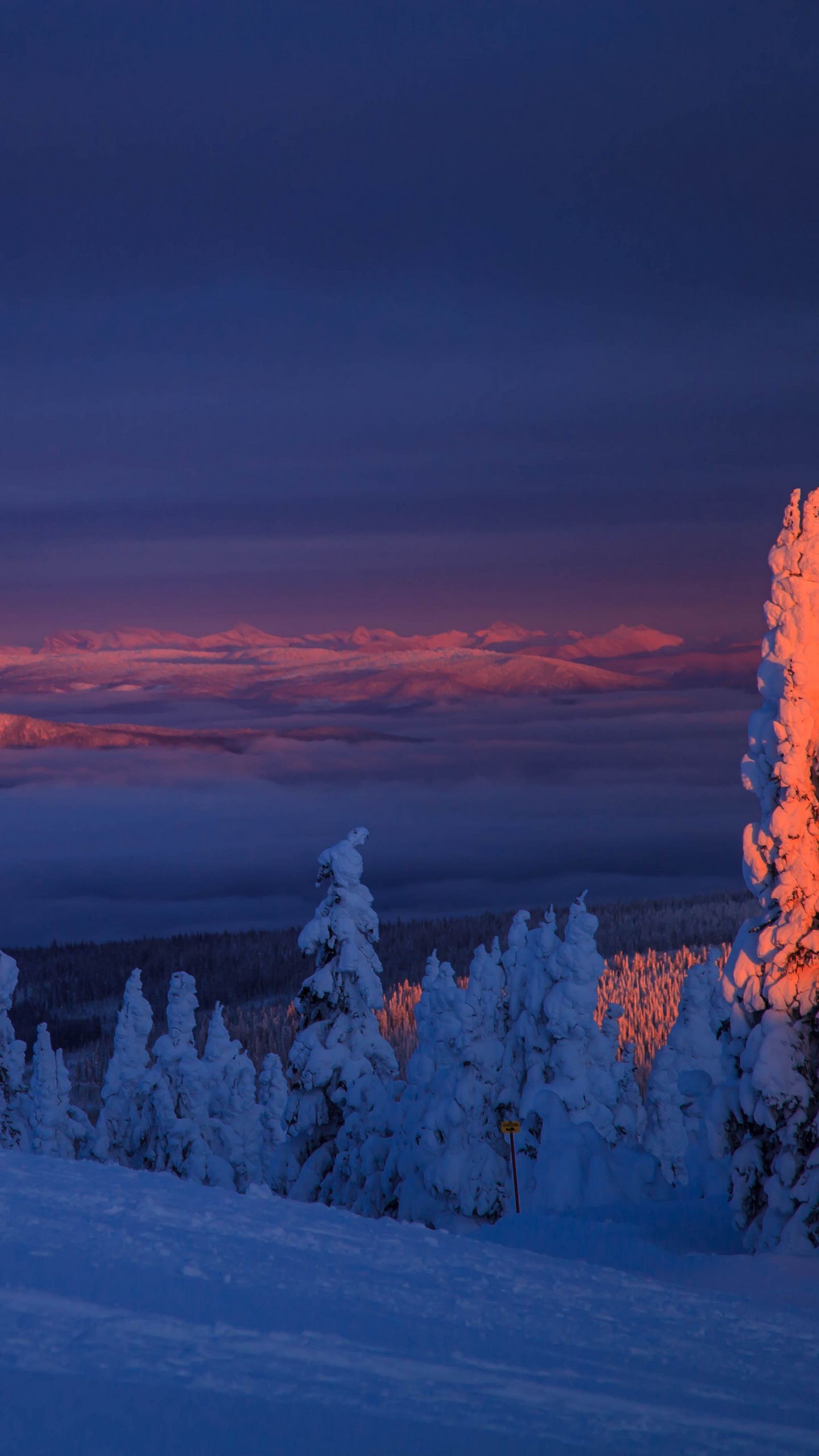 Обои деревья, снег, пейзаж, сумерки, зима, заснеженный на телефон скачать бесплатно