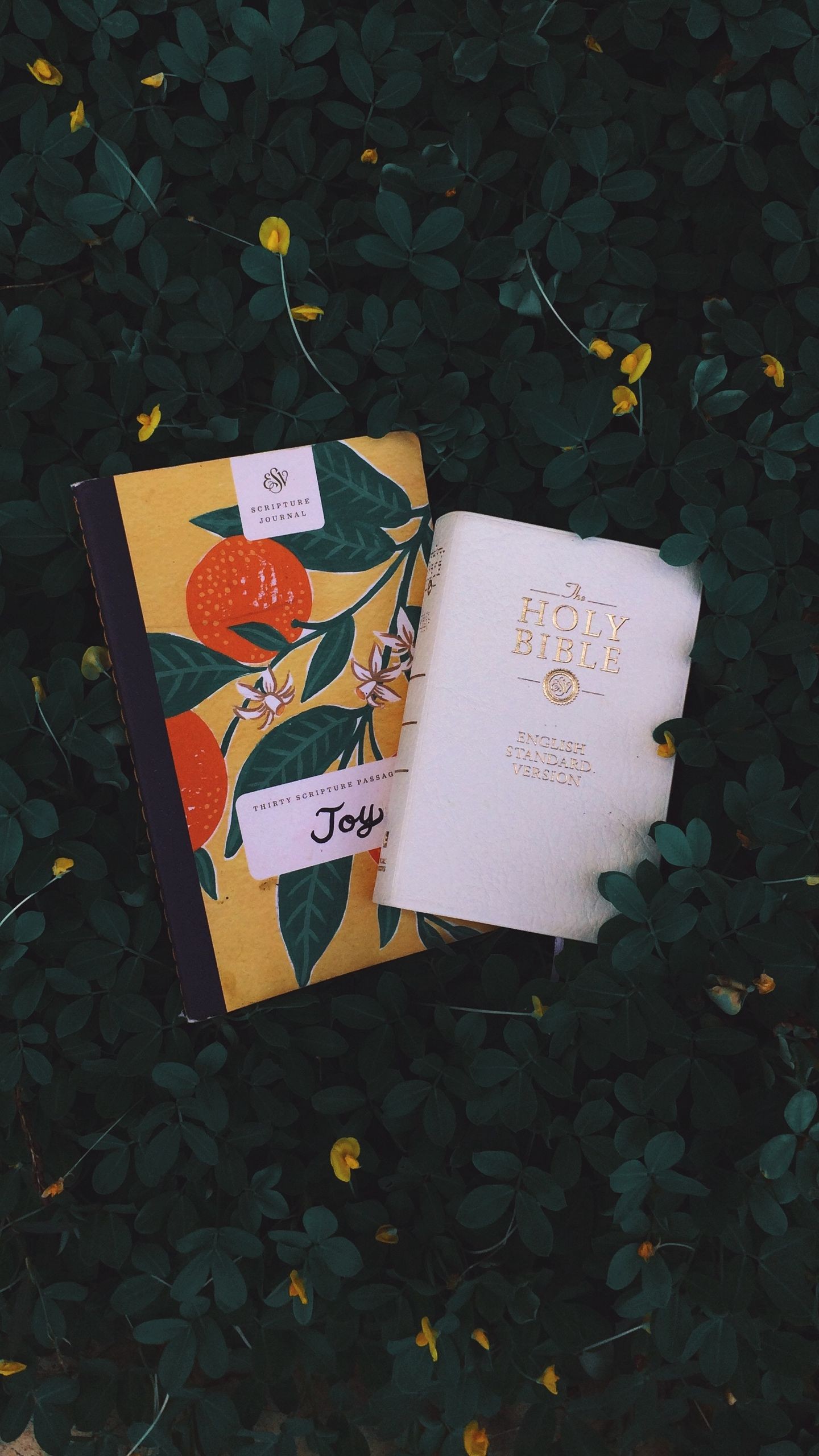 Обои книги, листва, цветы, чтение на телефон скачать бесплатно