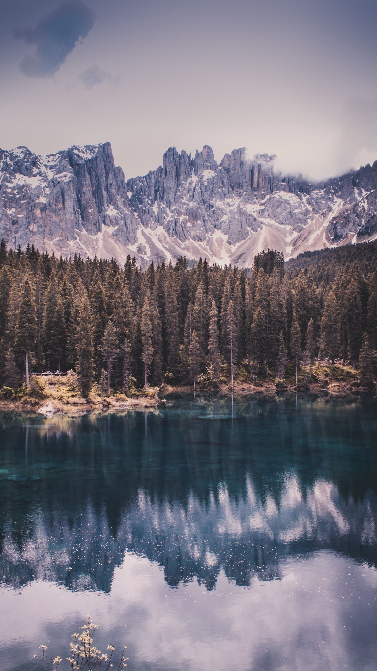 Обои горы, озеро, деревья, отражение, небо на телефон скачать бесплатно